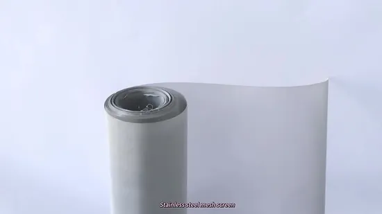 Stainless Steel Wire Mesh Custom 304 316 30/40/80/100 Stainless Steel Wire Mesh 
